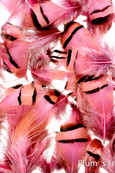 Patrijs - 3-7 cm - roze